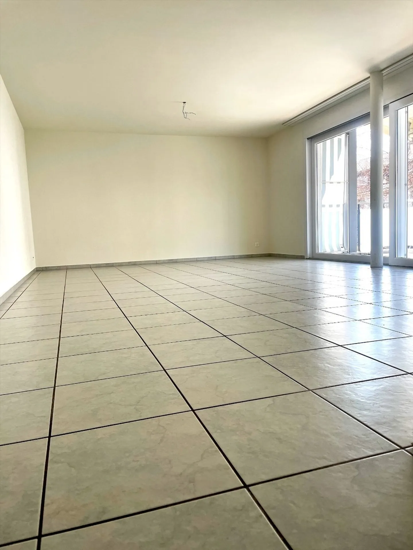 Appartement 4.5 pièces ensoleillé - Photo 4 sur 21