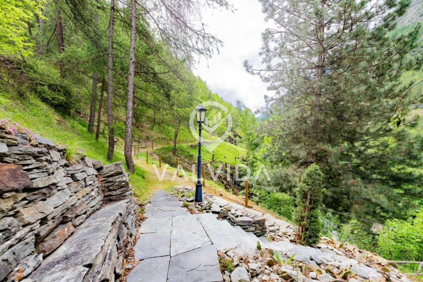 Natura pura - Casa vacanze in posizione pittoresca e tranquilla - Foto 14 di 16