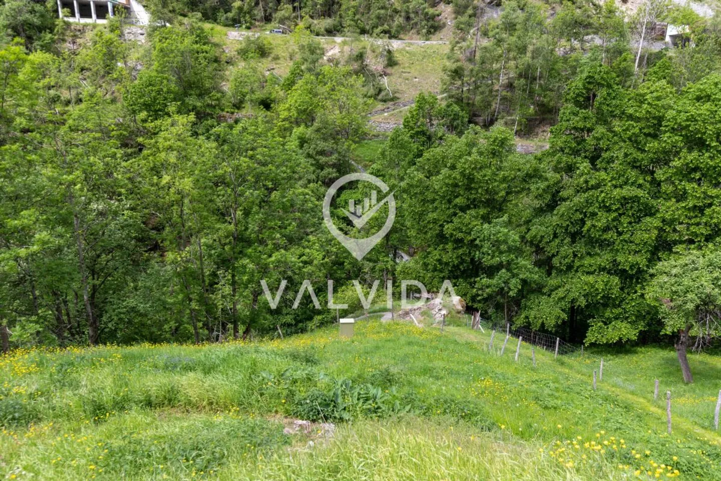 Natura pura - Casa vacanze in posizione pittoresca e tranquilla - Foto 16 di 16