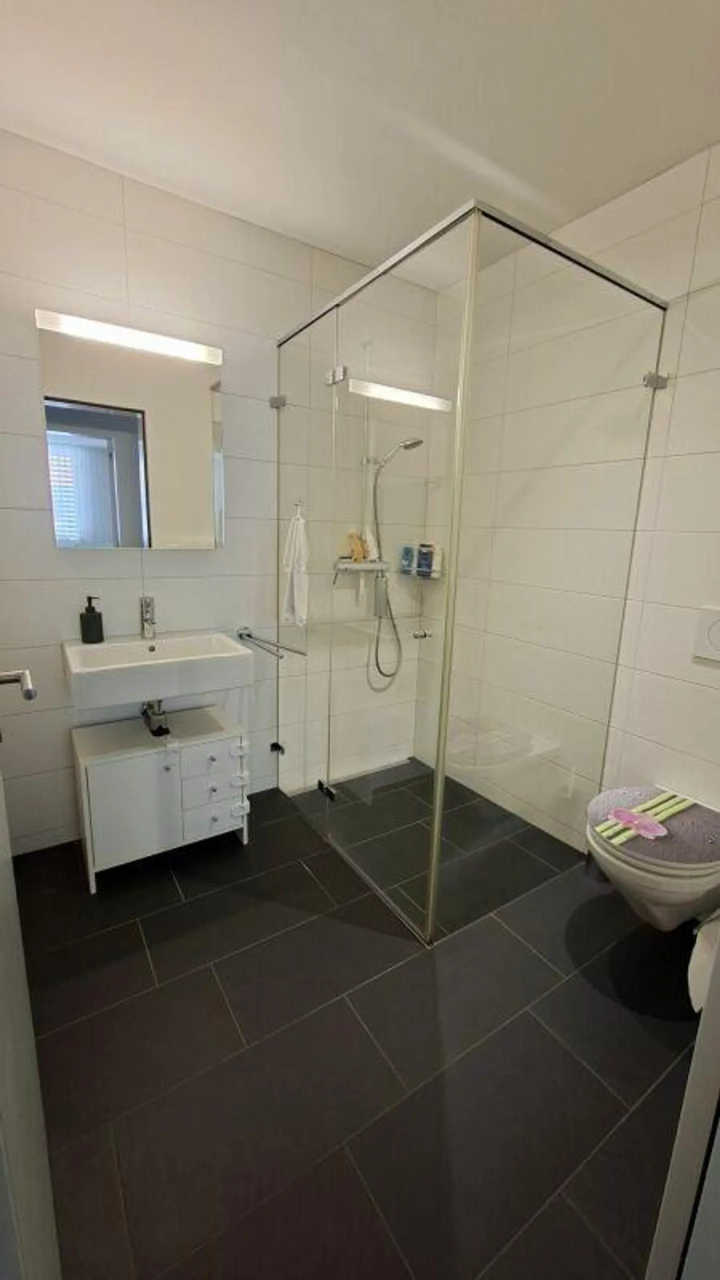Geräumige Gartenwohnung in Buchs - Foto 7 von 11