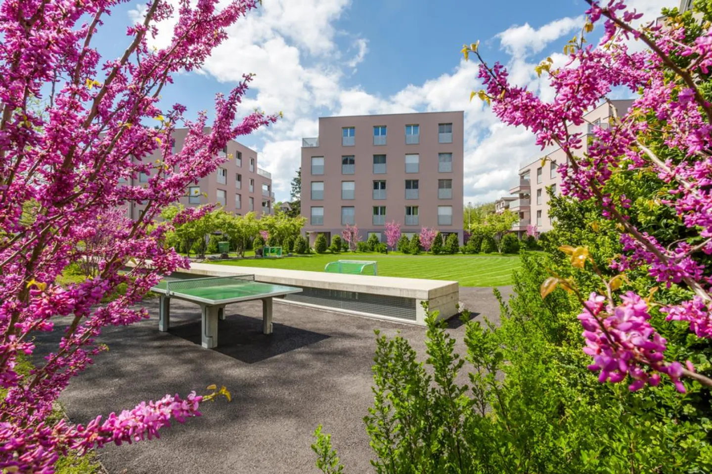 Appartamento giardino affascinante in una posizione desiderabile a Zug - Foto 11 di 12