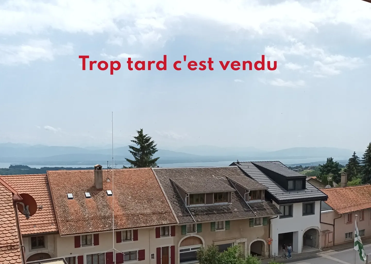 Beautiful apartment with lake view and Alps - Photo 1 of 1