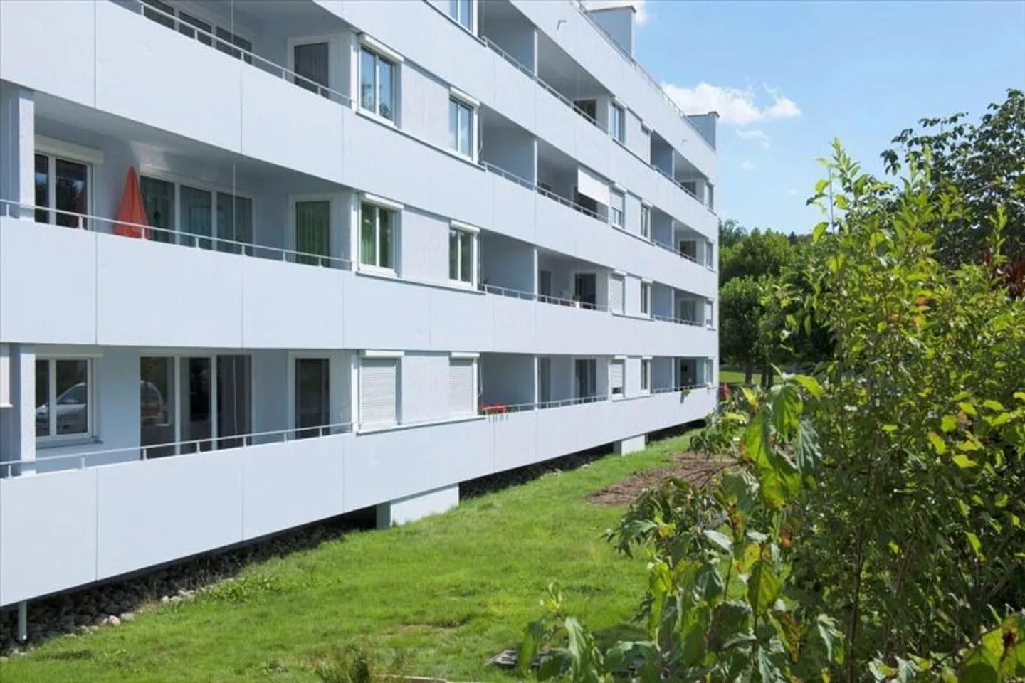 Recherche ... surprise ... la vie! - Photo 1 sur 7