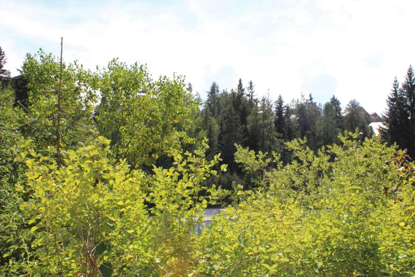 Appartement spacieux 2.5 pièces - Photo 11 sur 11
