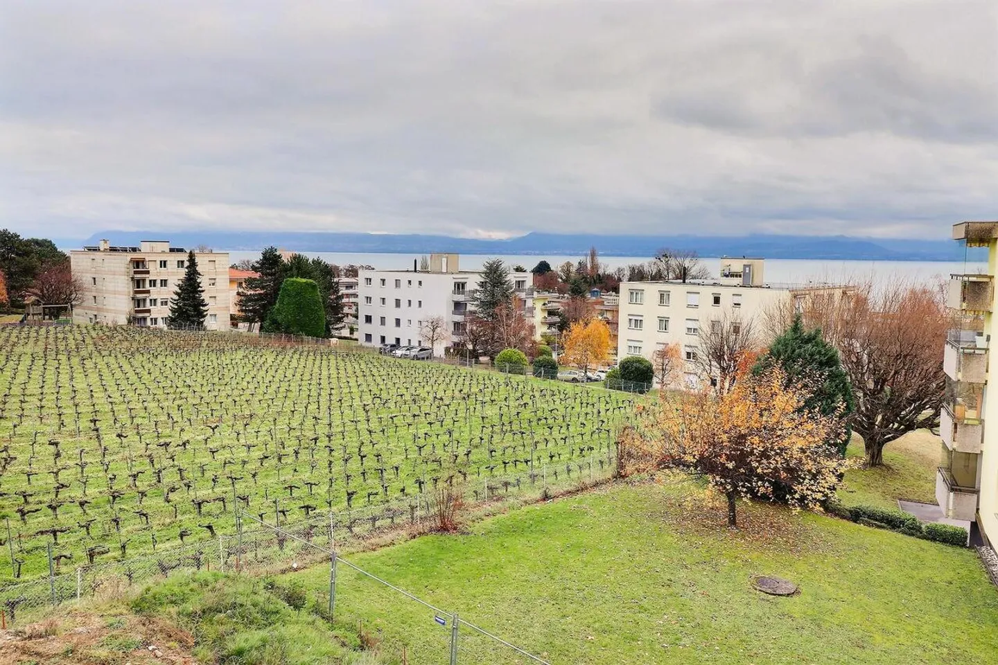 Charmant appartement en viager occupé sans rente, idéalement situé à Mont-sur-Rolle, au cœur de l’un des villages les plus prisés de La Côte. - Photo 1 sur 13