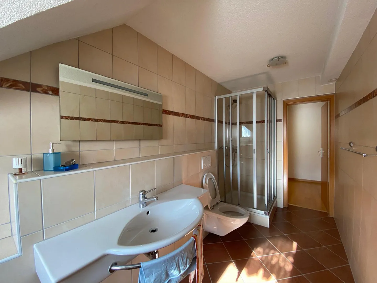 Ex Hotel Euler zum Eishof, Seewen SO - Foto 10 di 15