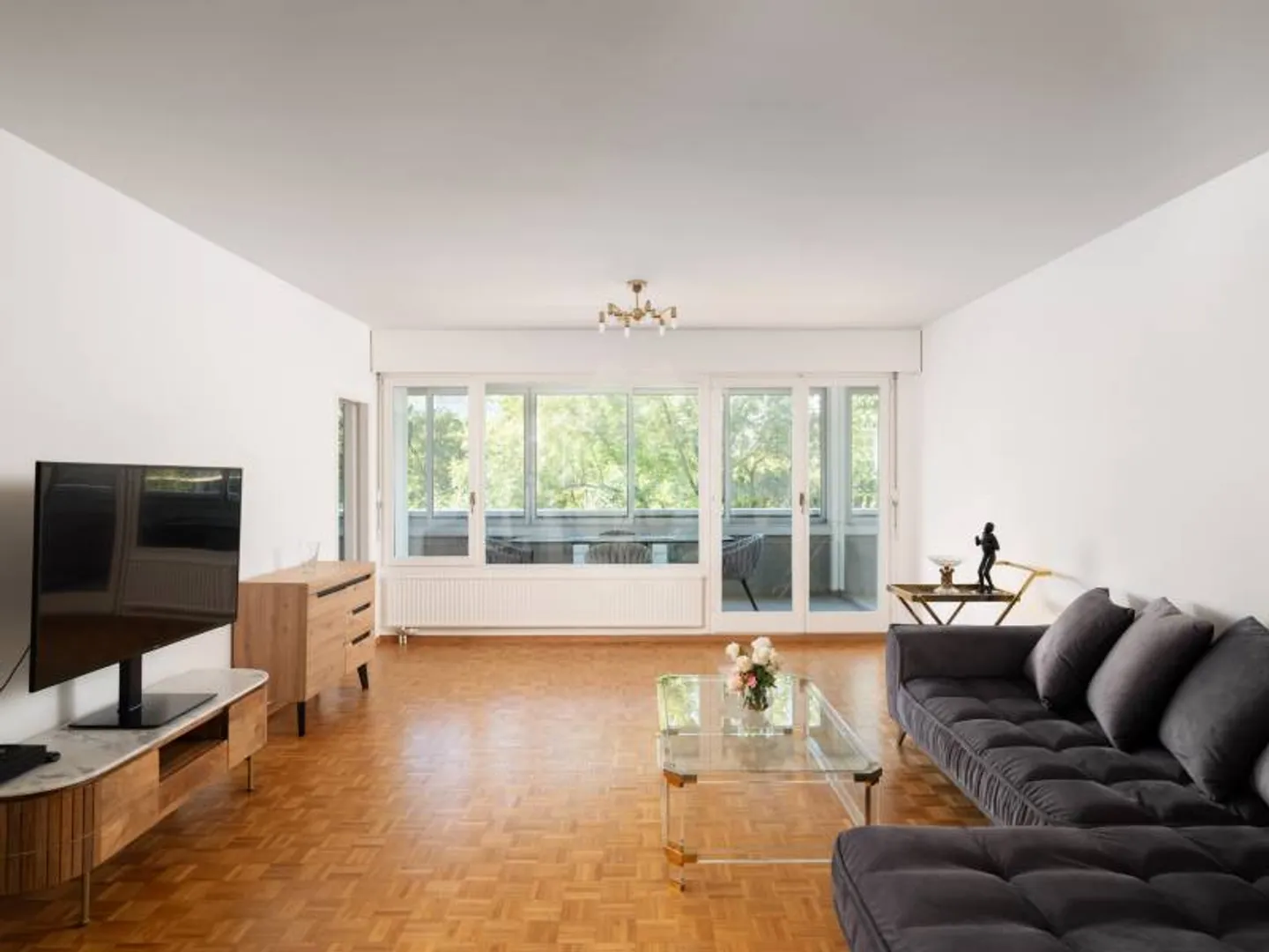 Superbe appartement - Chêne-Bougeries - Photo 3 sur 10