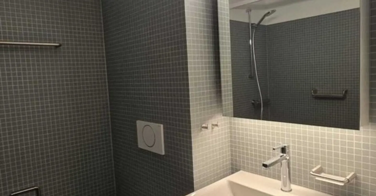 Appartamenti unici dopo ristrutturazione - Eleganti 2,5 stanze - Foto 4 di 6