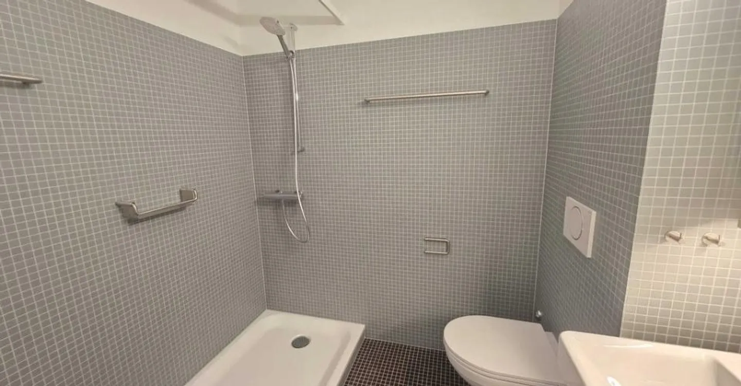 Appartamenti unici dopo ristrutturazione - Eleganti 2,5 stanze - Foto 5 di 6