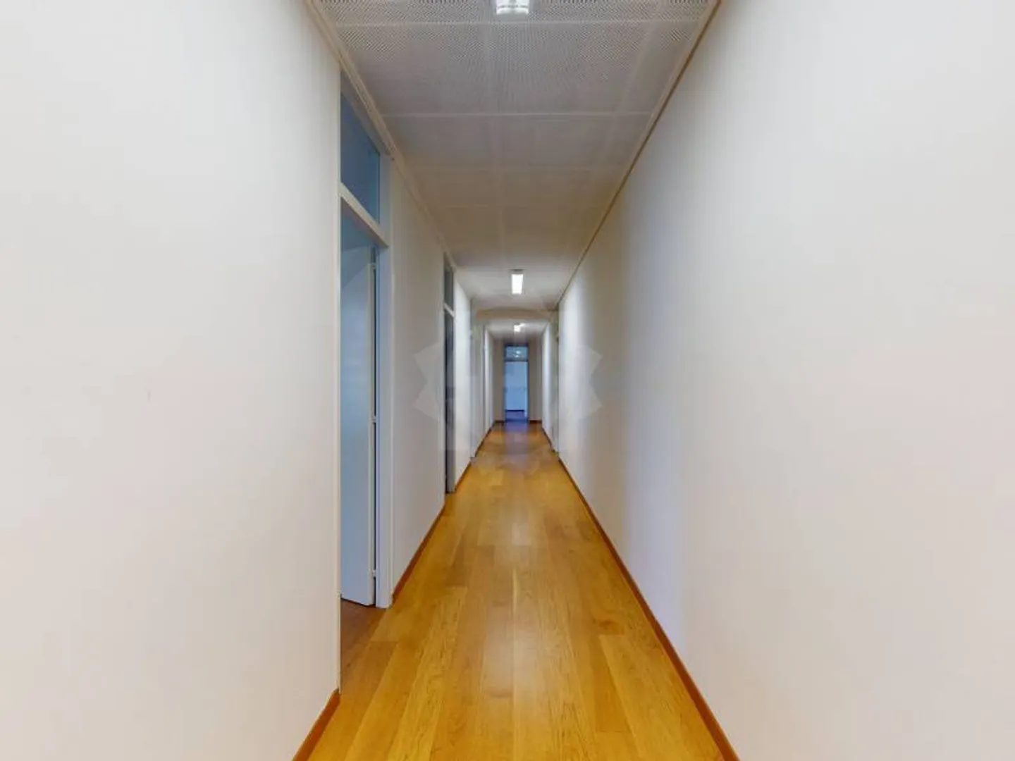 Grands bureaux - Genève - Photo 3 sur 12