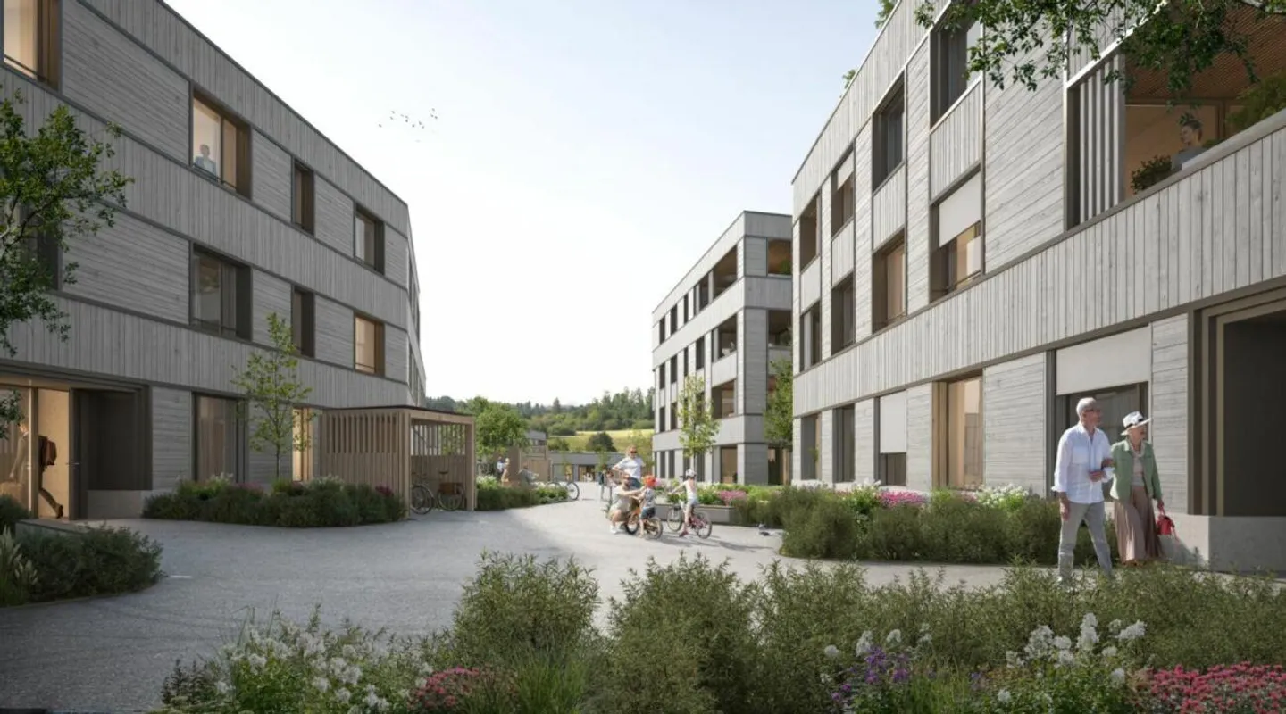 Bijou au lac de Sempach - Photo 6 sur 7