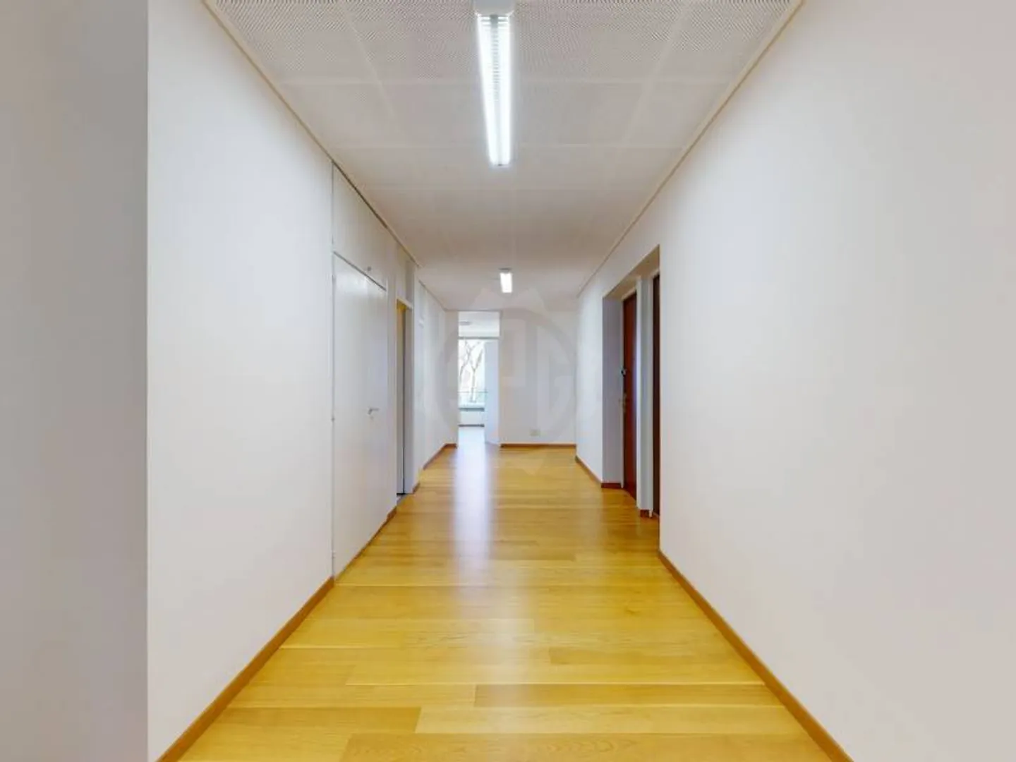 Grands bureaux - Genève - Photo 12 sur 12