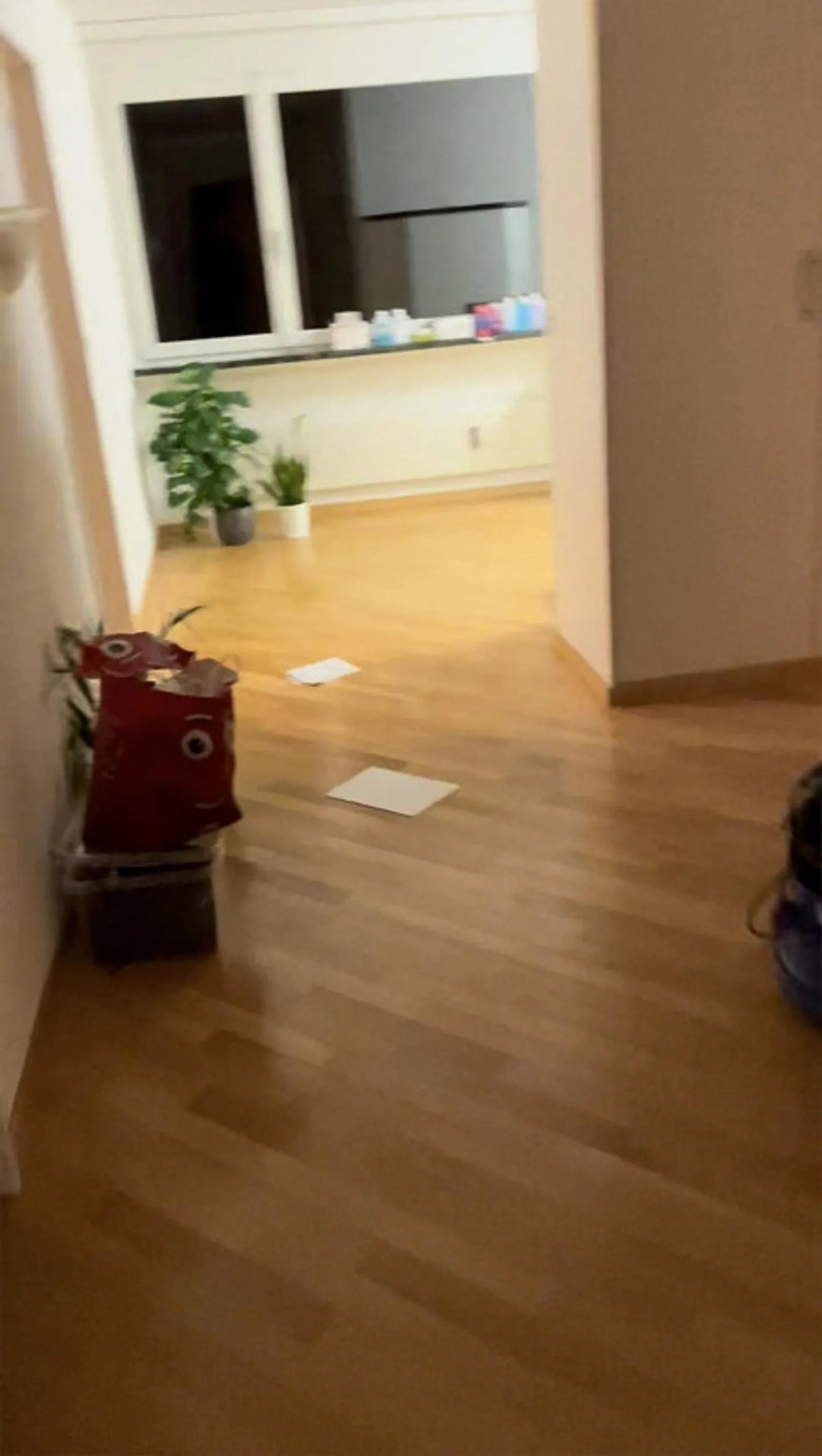4.5 Family Apartment - Photo 6 of 12