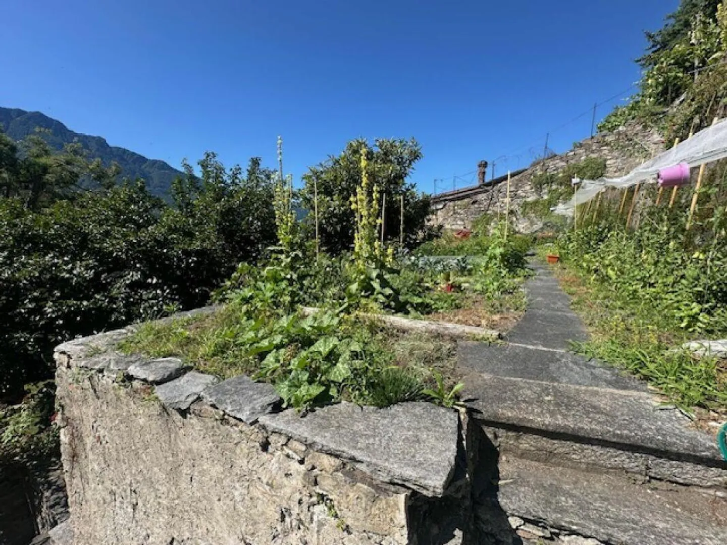 Residenza d'epoca - Foto 14 di 14