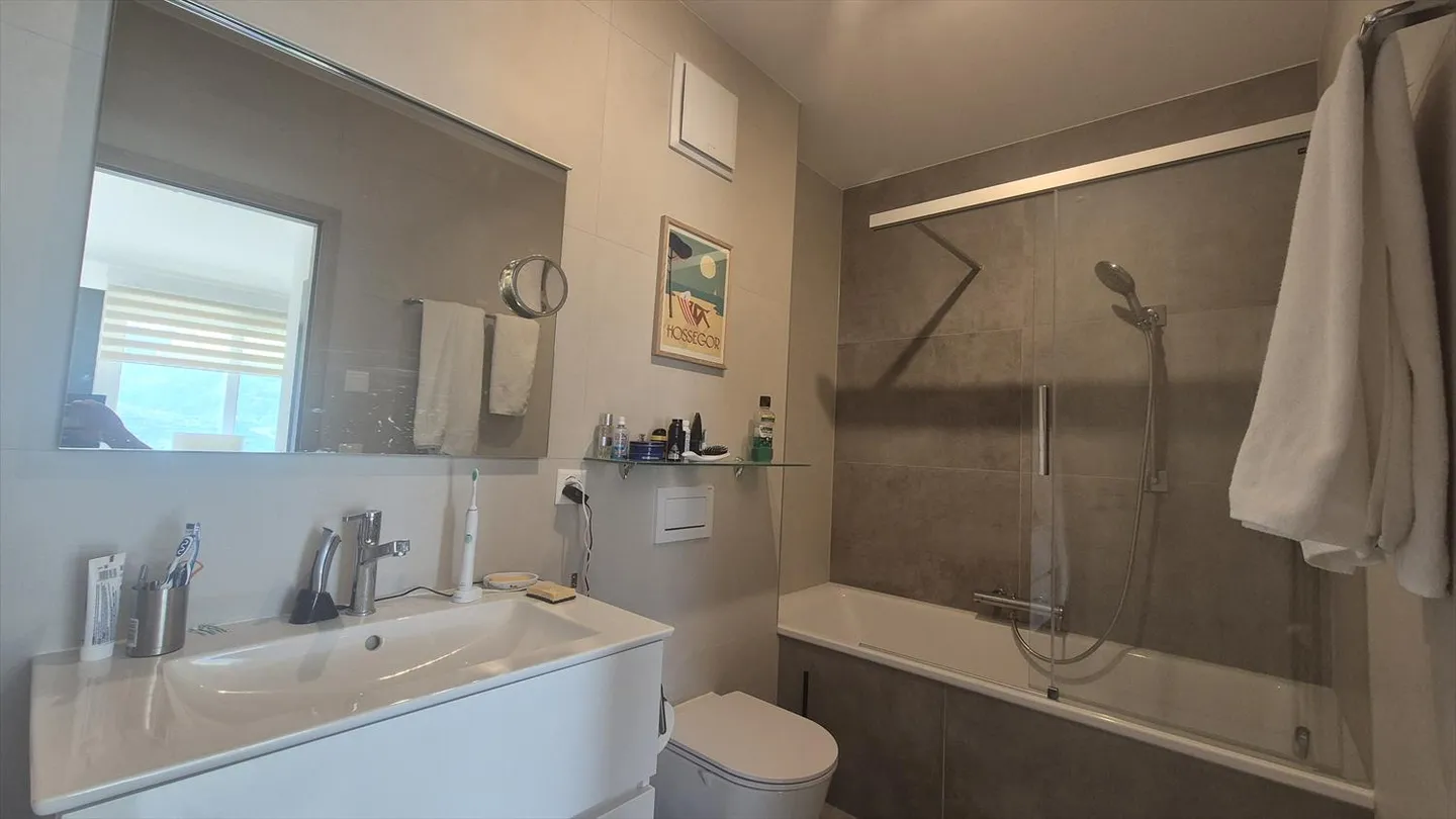 Appartamento con terrazza 2.5 stanze - Foto 9 di 11