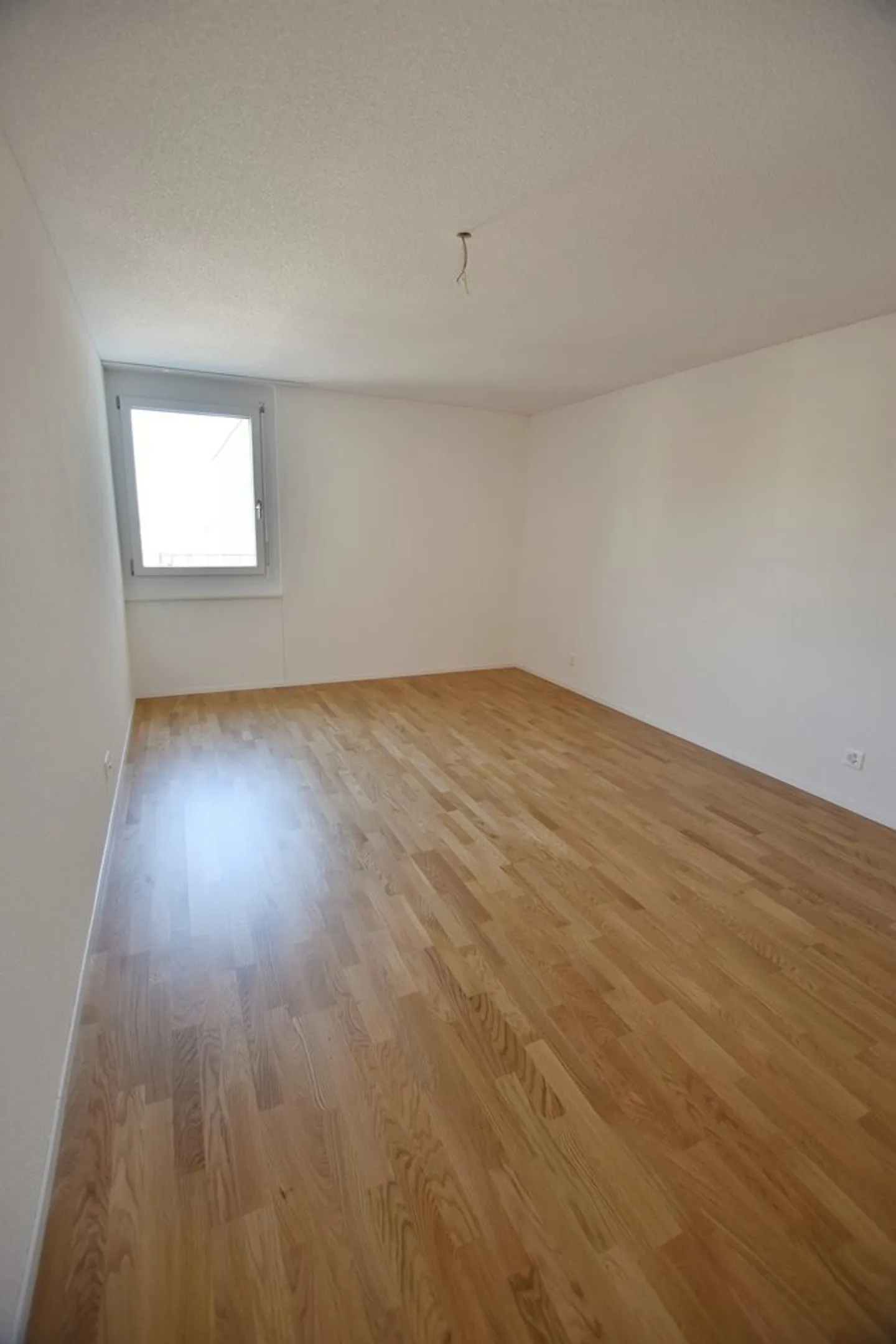 Modernes Apartment in Wabern - Foto 7 von 10