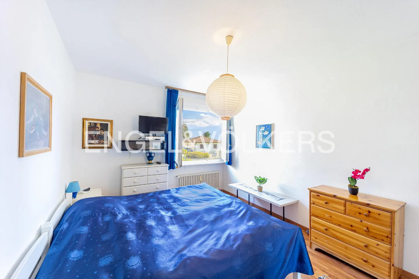 Idylle de jardin et panorama sur le lac (58) - Photo 9 sur 11