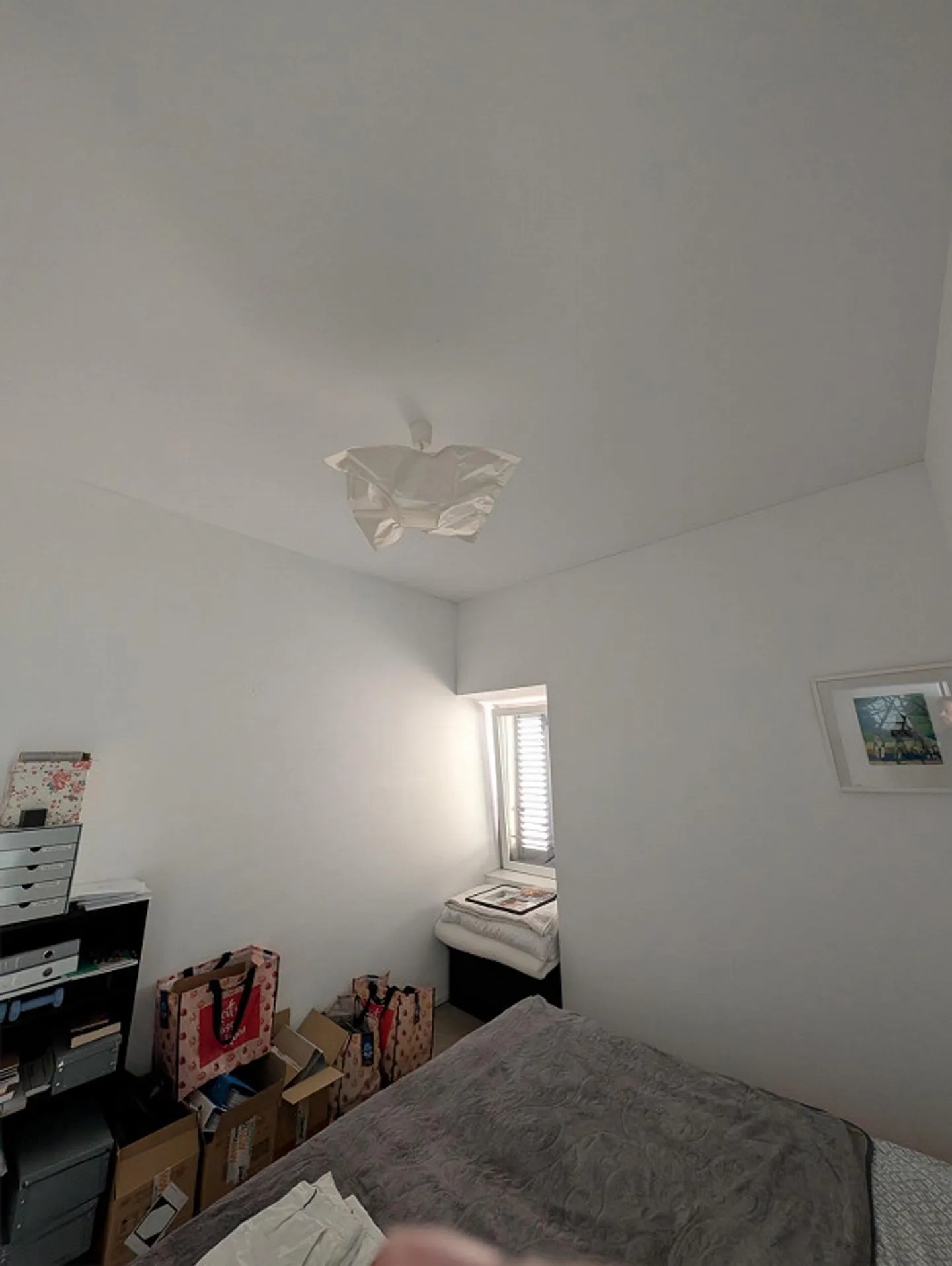 2 1/2 Room Apartment in Viganello for Rent from December 1 - Photo 5 of 5