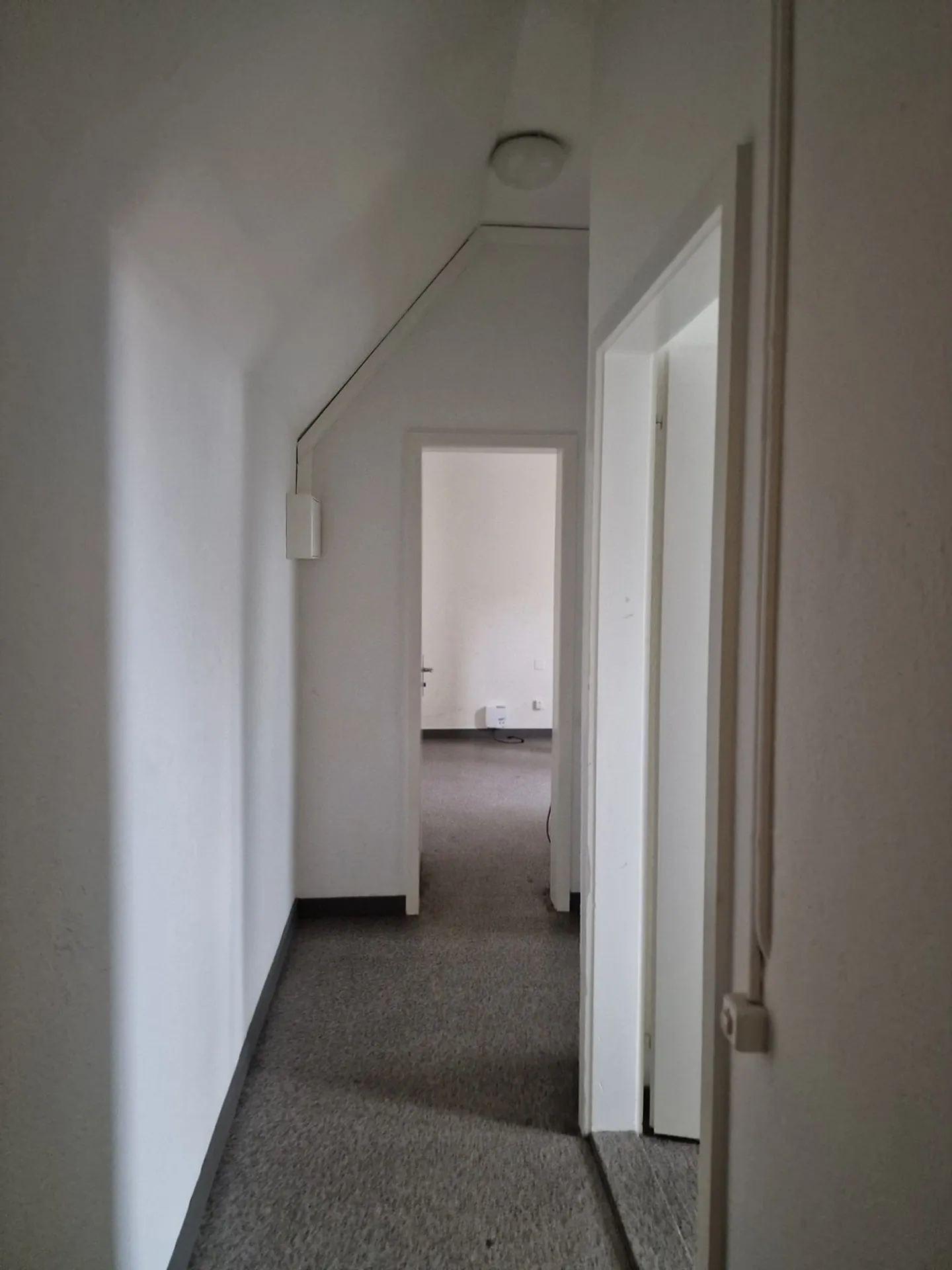 Penthouse à louer juste à côté du musée Beyeler - Photo 2 sur 15