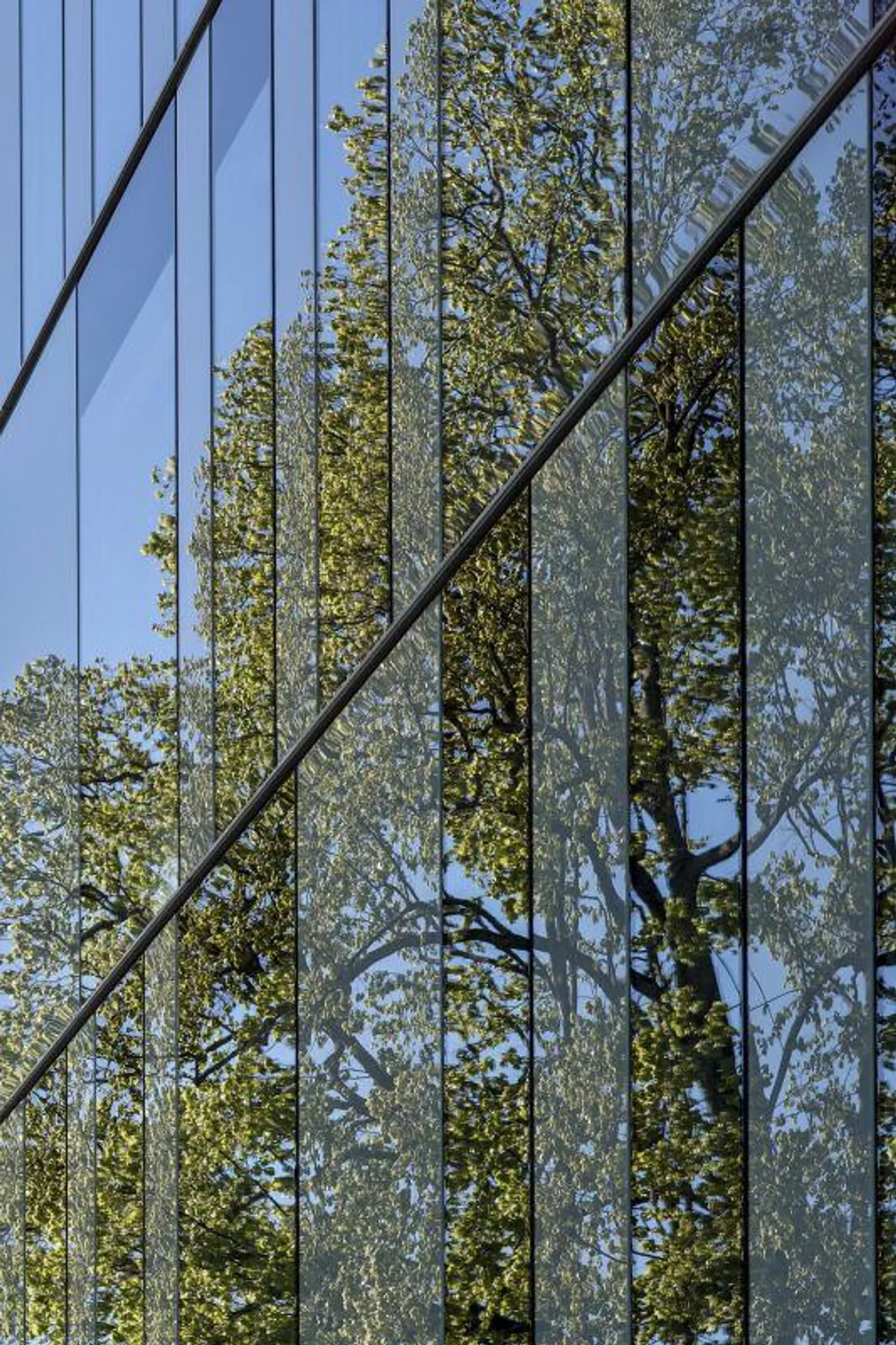 Edificio Minergie, Vaud splendidi uffici parco e vista di 221 m2 - Foto 6 di 10