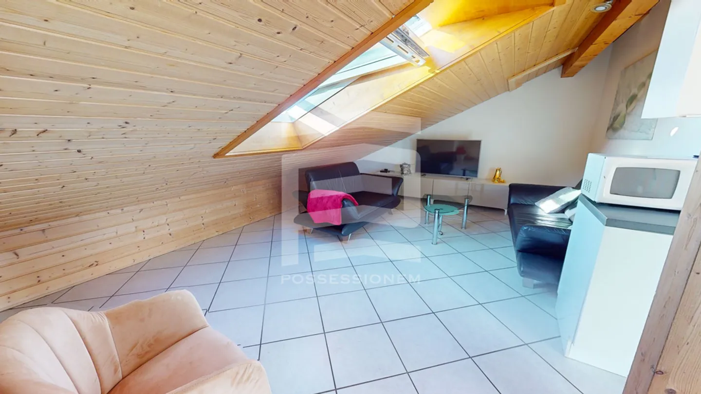 Charming Attic Apartment in Solothurn - Photo 2 of 14