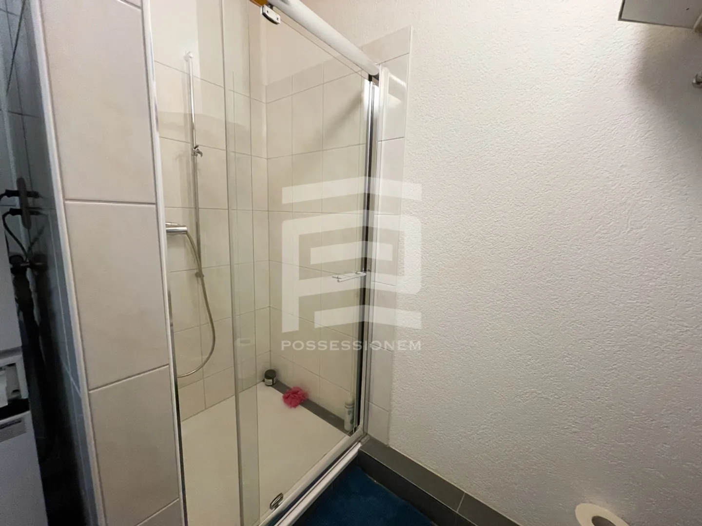 Charming Attic Apartment in Solothurn - Photo 9 of 14