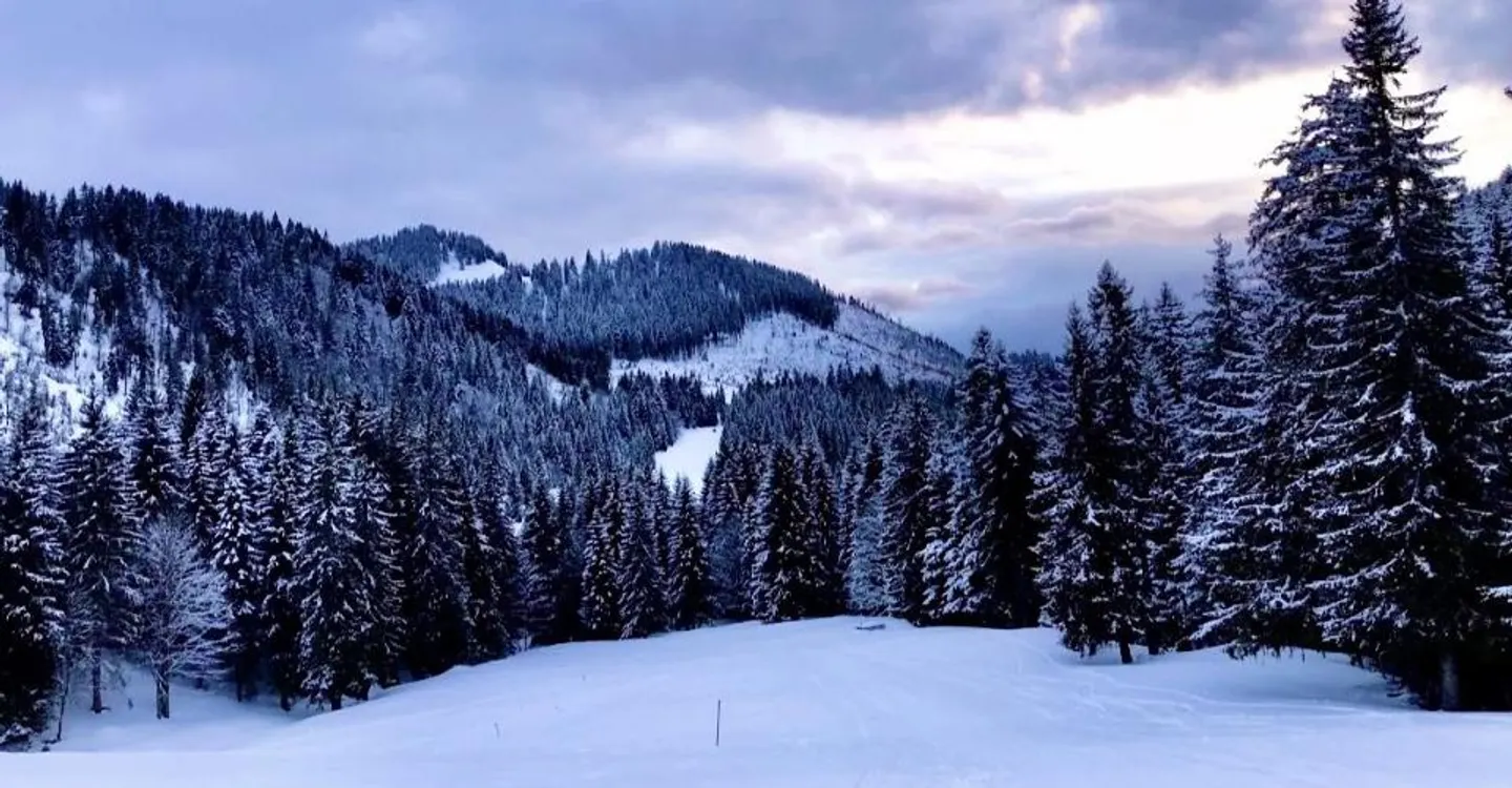 Live the mountain at Paccots! - Photo 5 of 5