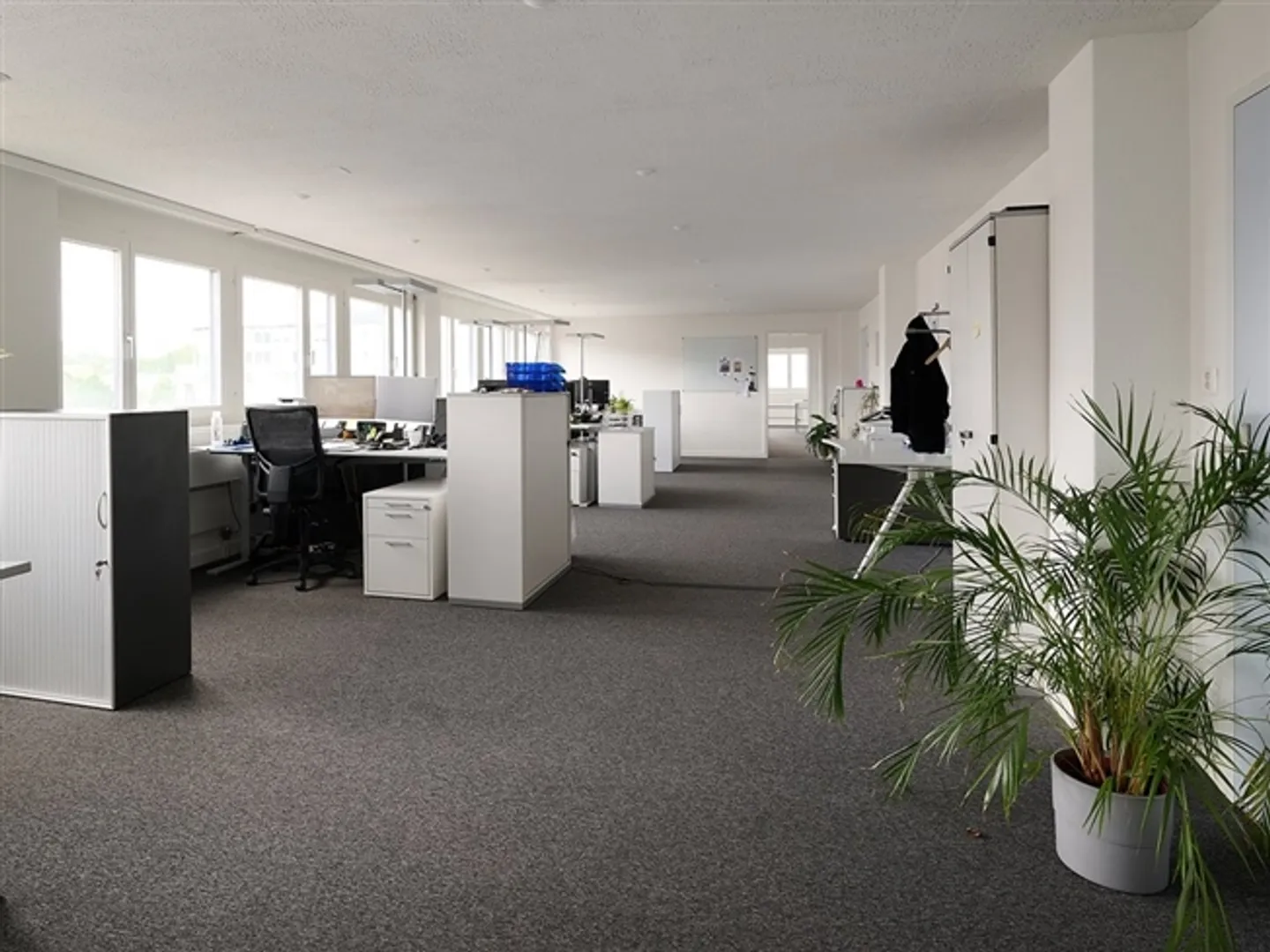 Excellent office spaces at Dreispitz - Photo 6 of 12