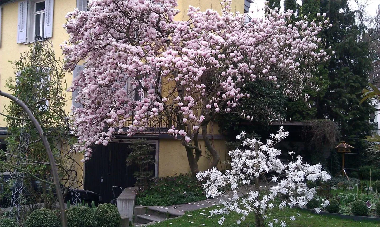 appartamento 3 locali ben tenuto - Foto 11 di 11