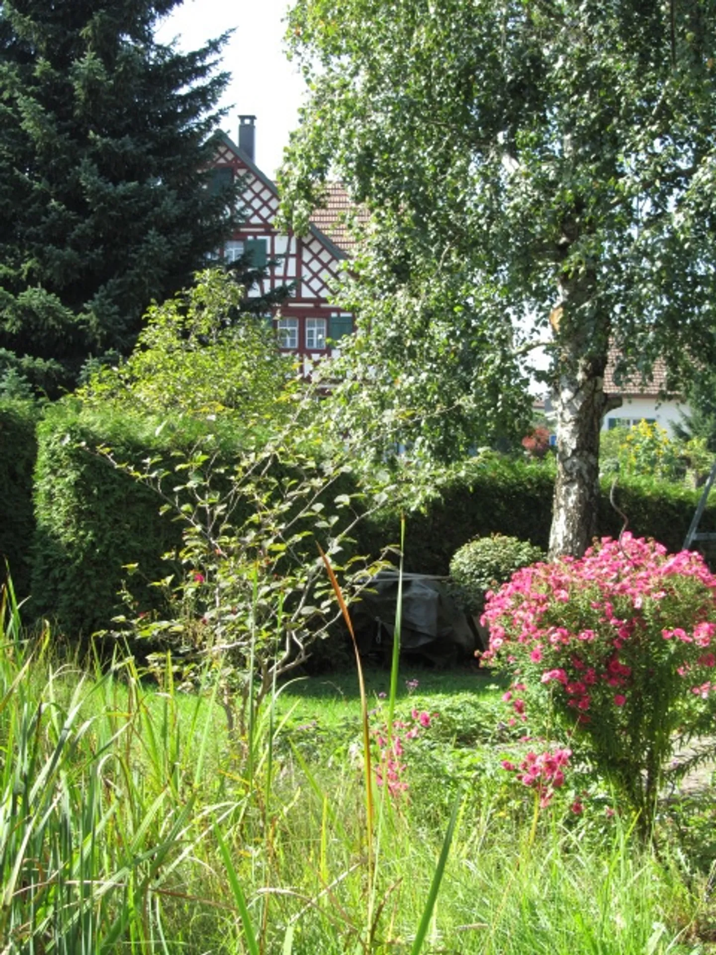 Studio meublé avec cuisine entièrement équipée et grande terrasse - Photo 2 sur 11