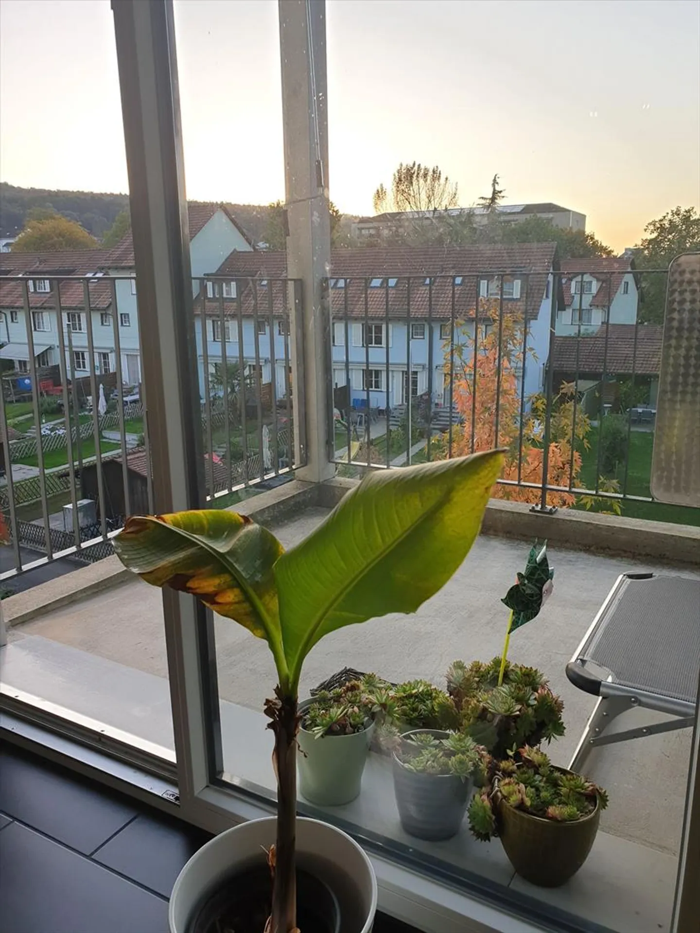 Appartement calme à Zurich - Photo 6 sur 6