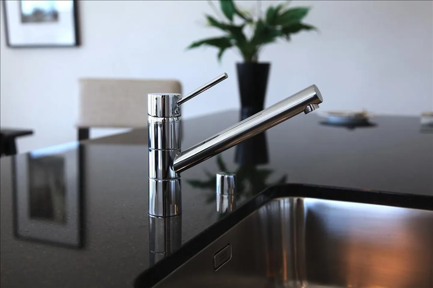 Search ... surprise ... living! - Photo 5 of 8