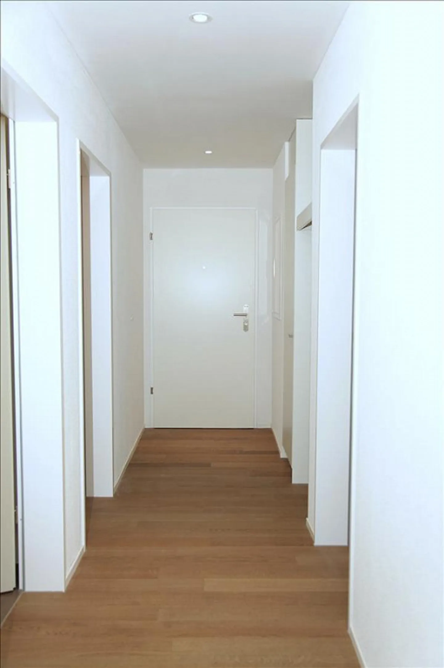 Search ... surprise ... living! - Photo 8 of 8