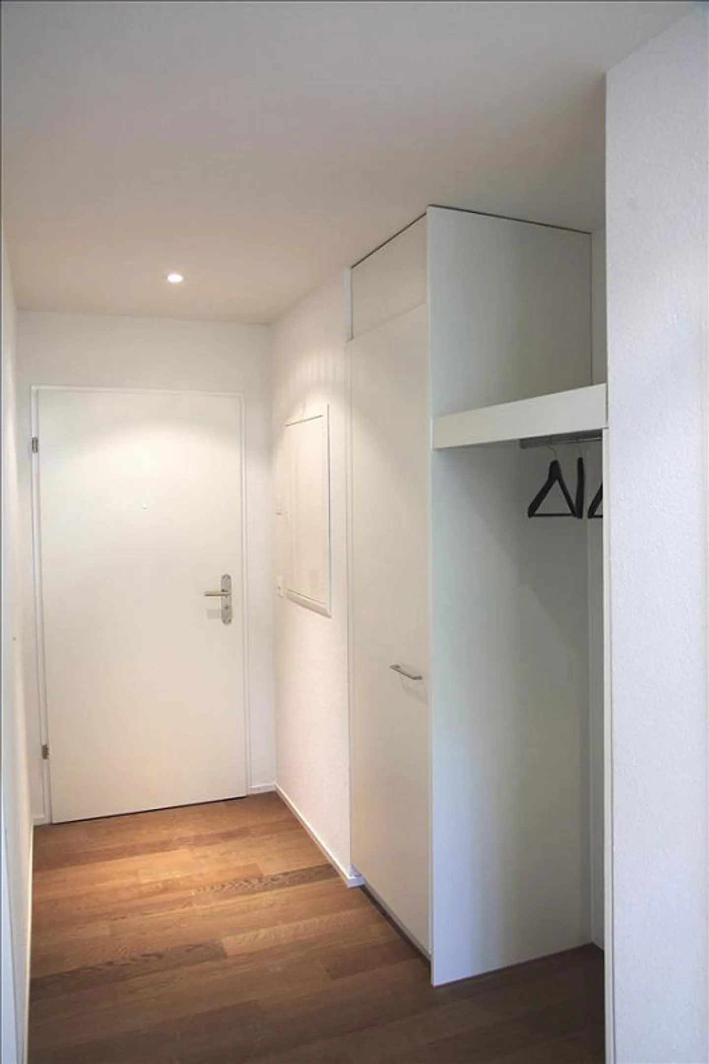 Search ... surprise ... living! - Photo 3 of 8