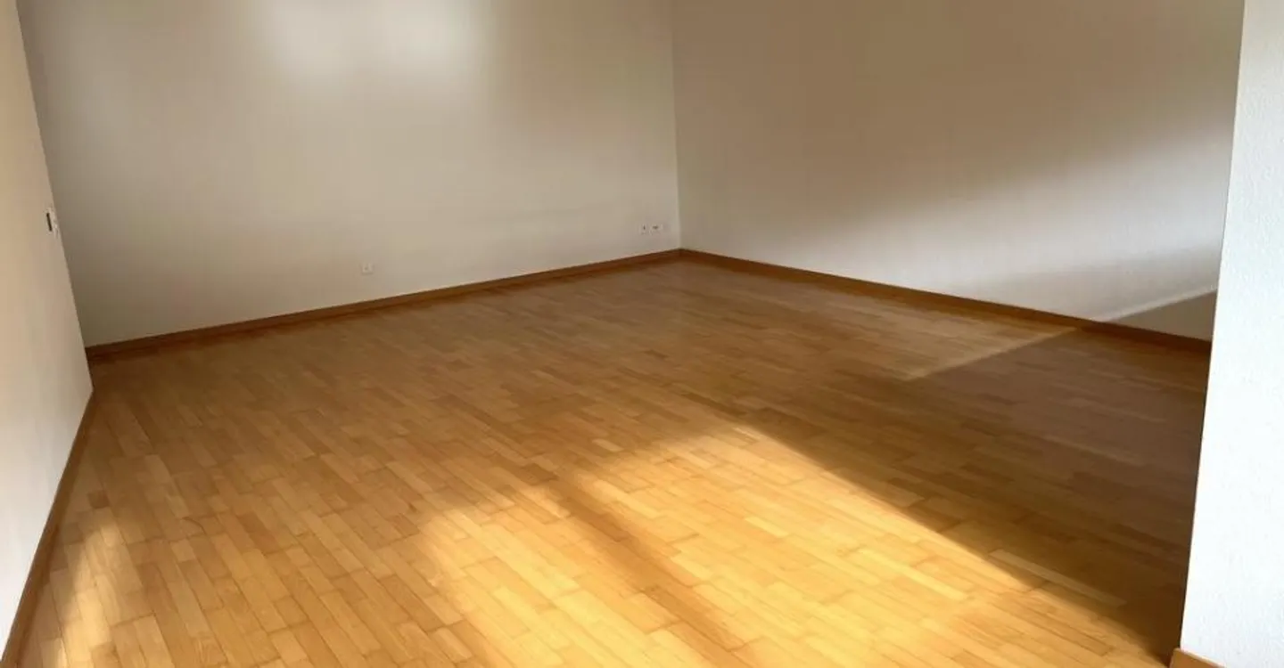 Geräumige Wohnung in ruhiger Lage - Foto 2 von 5