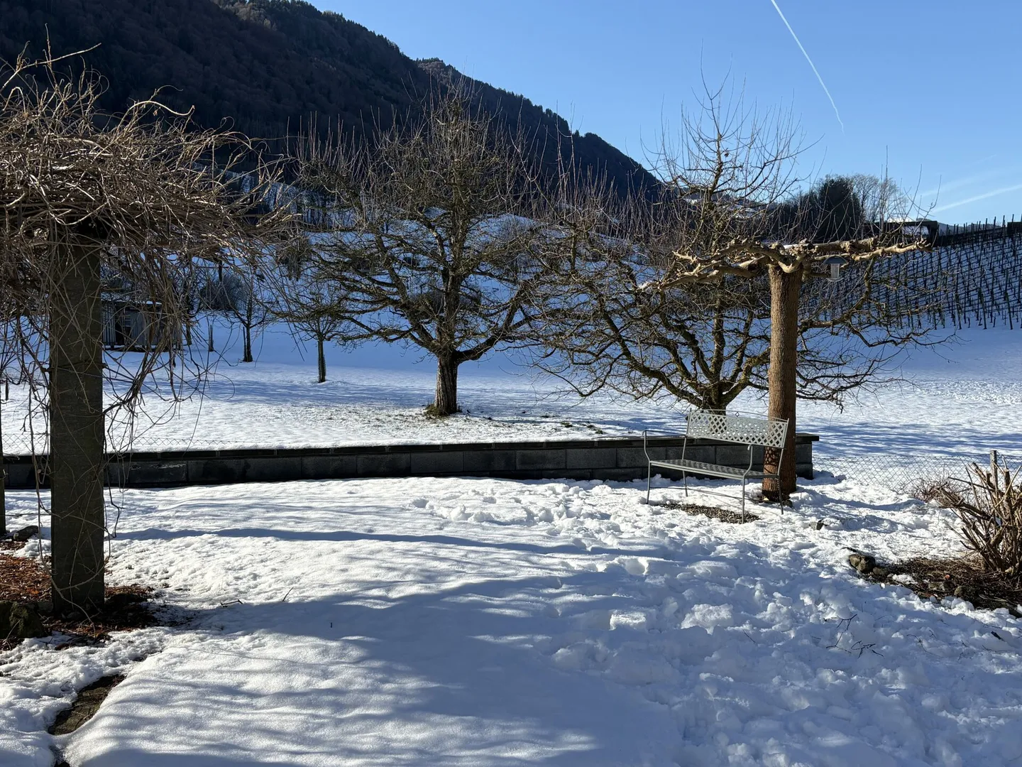 Attraktives Doppelhaus mit viel Platz in ruhigem Wohnquartier - Foto 7 von 9