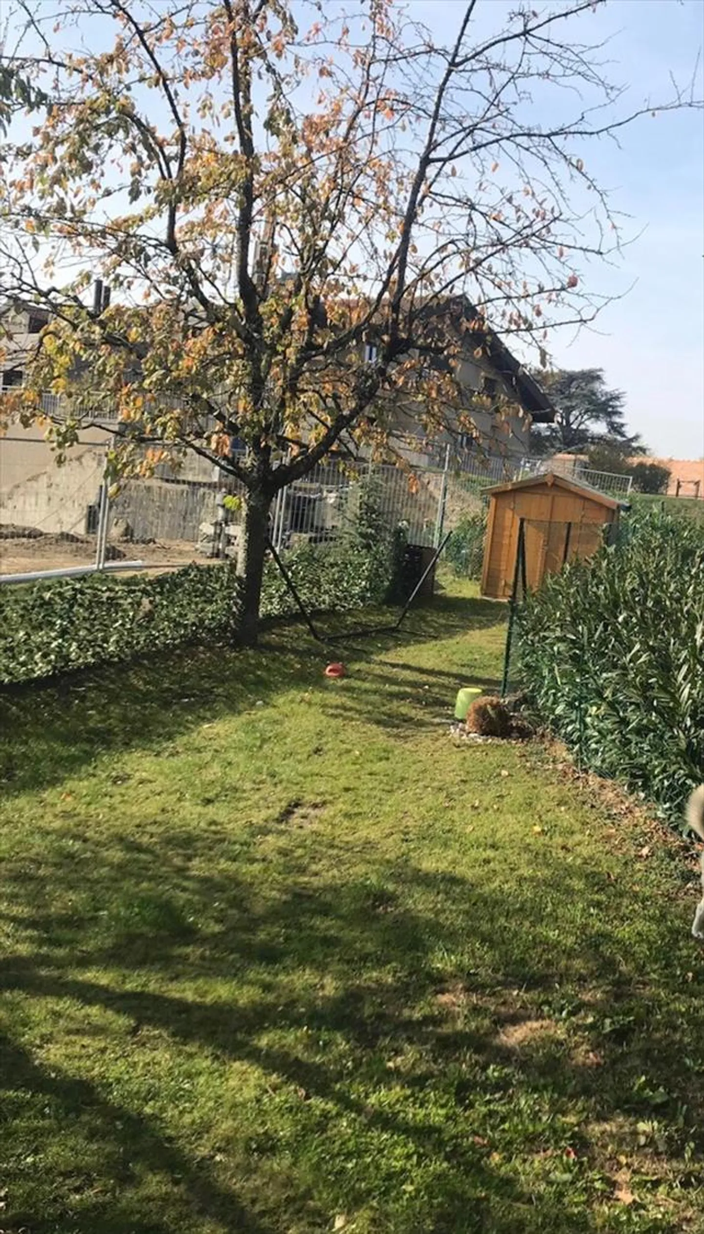 3,5-Zimmer-Wohnung - Foto 3 von 11