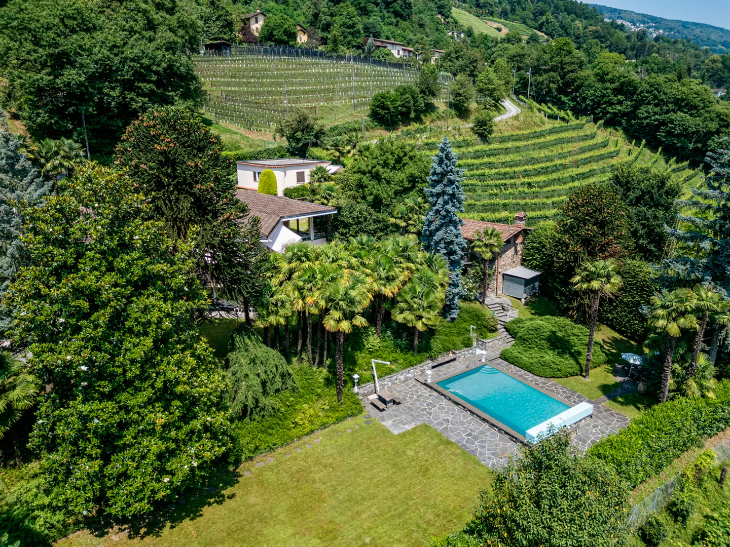 Elegante proprietà immersa nei vigneti di Agno - Foto 18 di 18