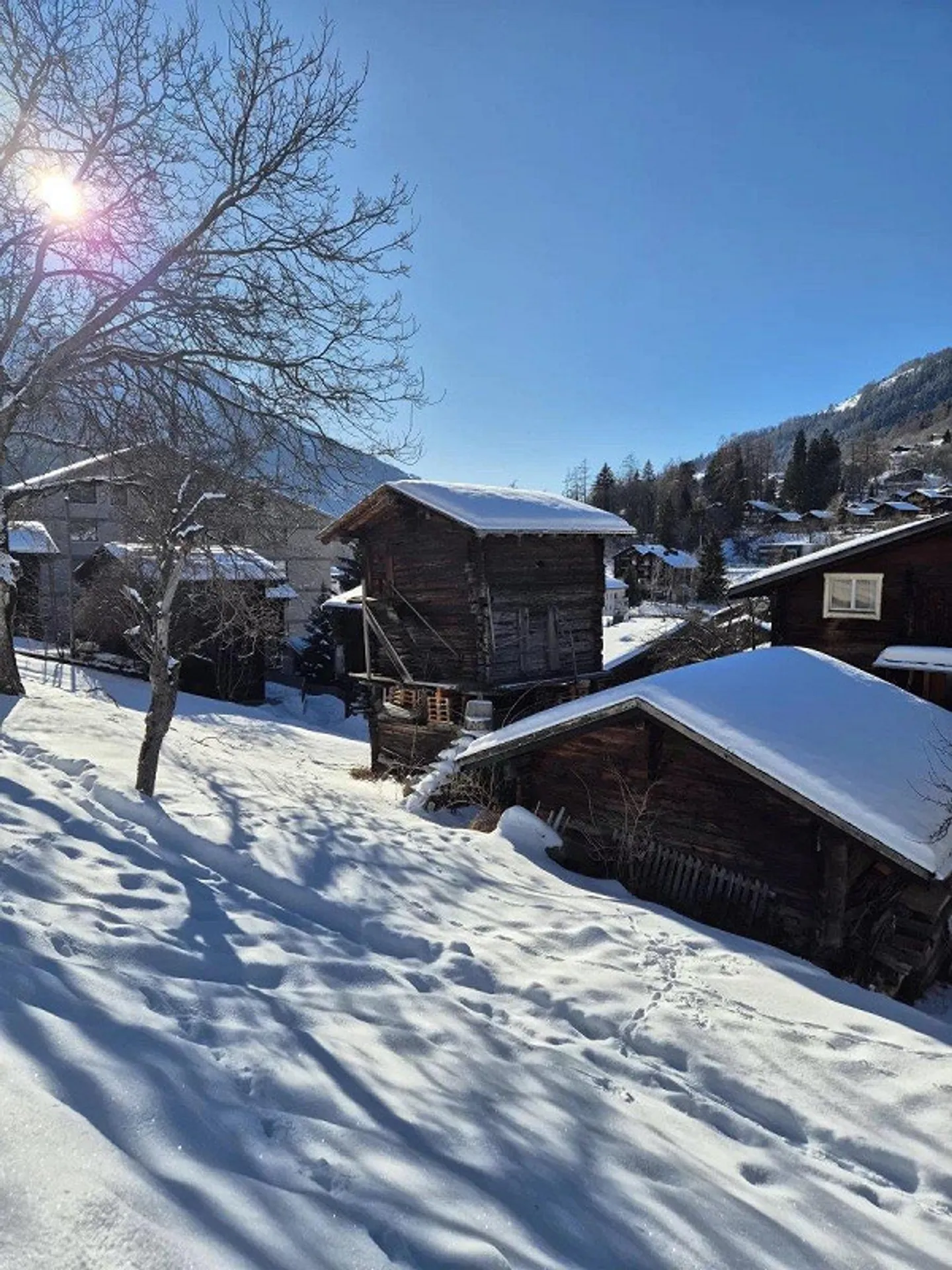 Worthwhile barn in typical Valais style in Goms - Photo 6 of 11
