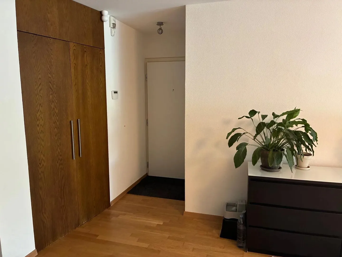Charming Apartment with Garden - Photo 8 of 8