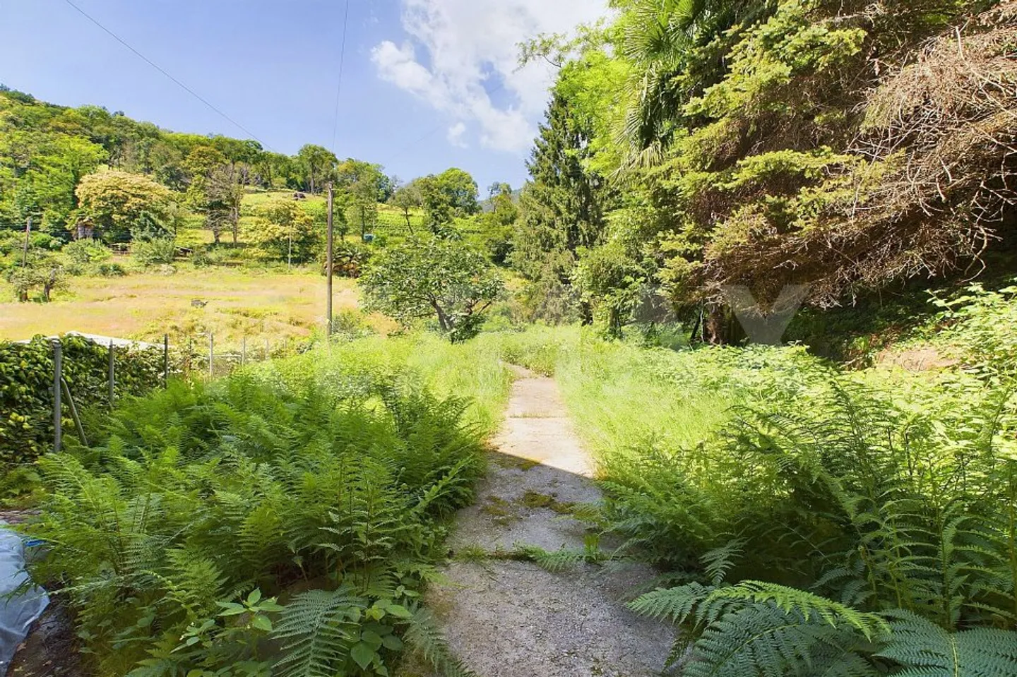 Einfamilienhaus kaufen - Foto 8 von 13