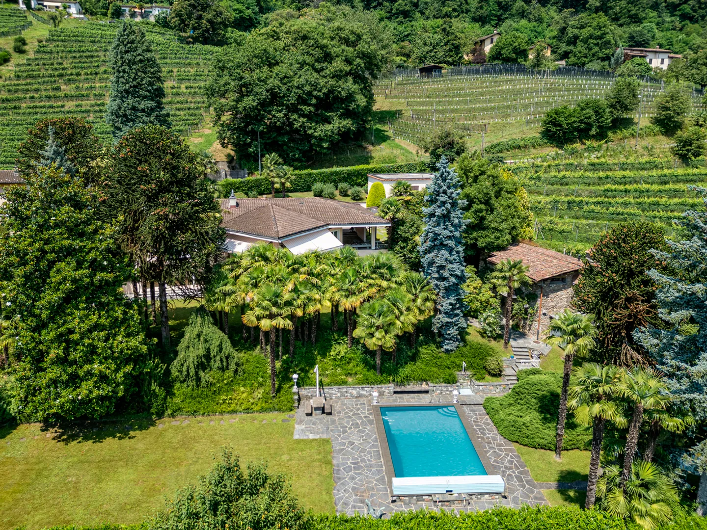 Elegante proprietà immersa nei vigneti di Agno - Foto 2 di 18