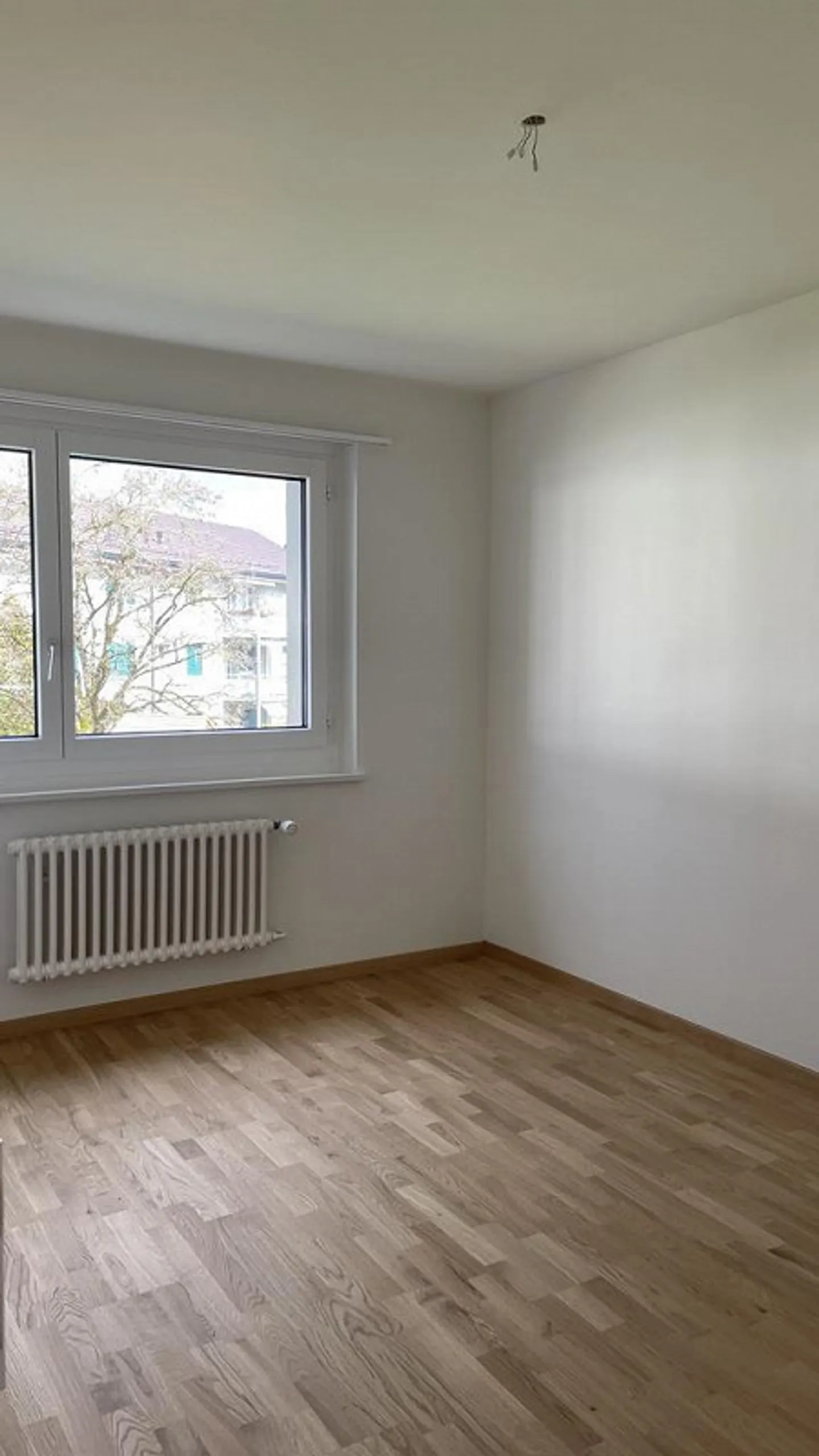 Visita: 14 + 16 aprile 2026 tra le 10:00 e le 10:30 - Foto 7 di 10