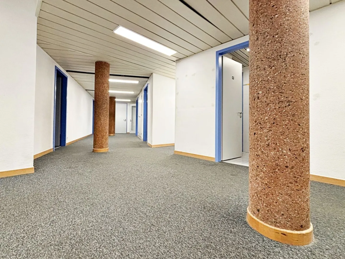 Magnificent Office Space in the Center of Nyon - Photo 3 of 12