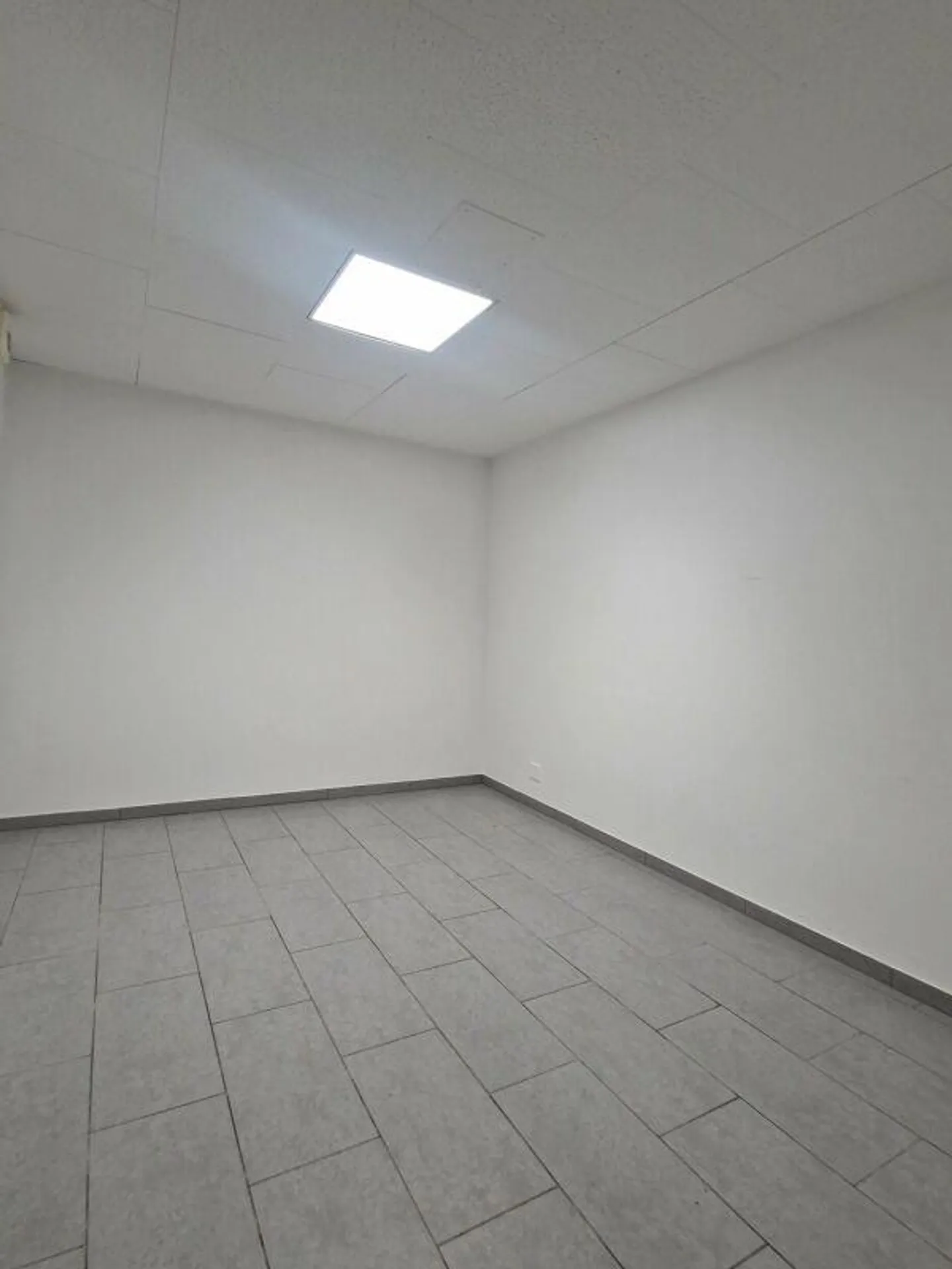 Vielseitige Gewerbefläche in Arbon - Foto 3 von 5