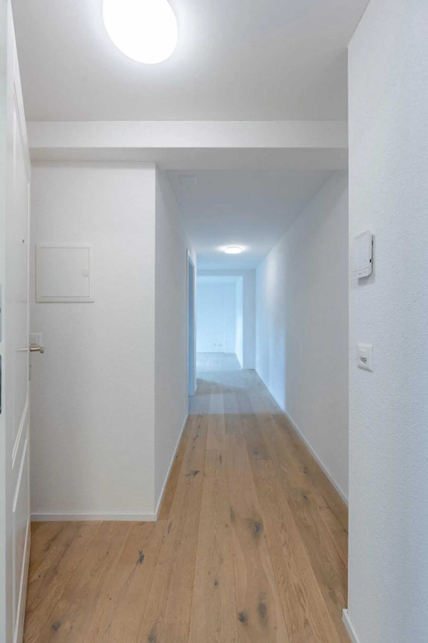 Charmante 1.5-Zimmer-Penthouse - Foto 3 von 6