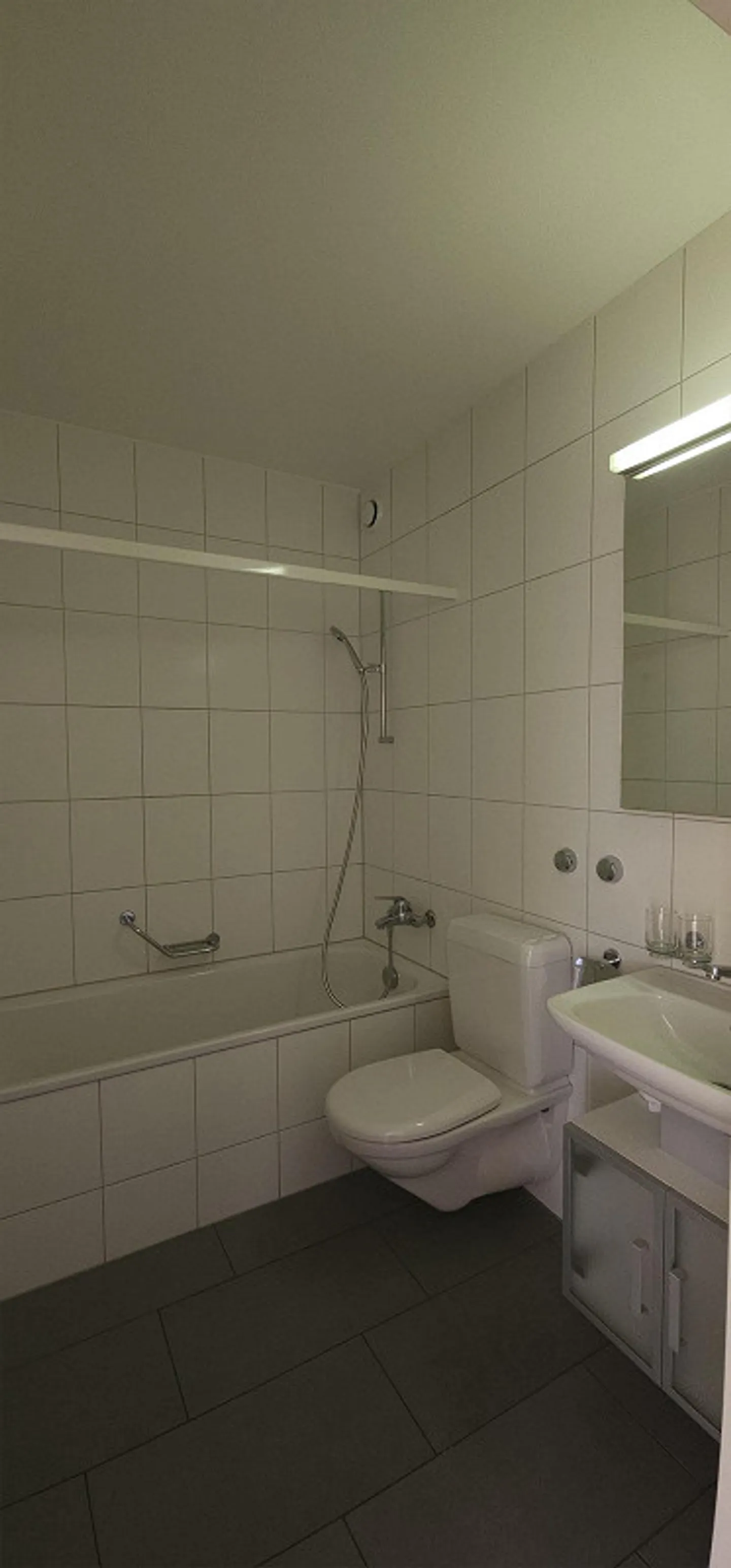 3.5 Room Apartment Penthouse with a View - Photo 7 of 12
