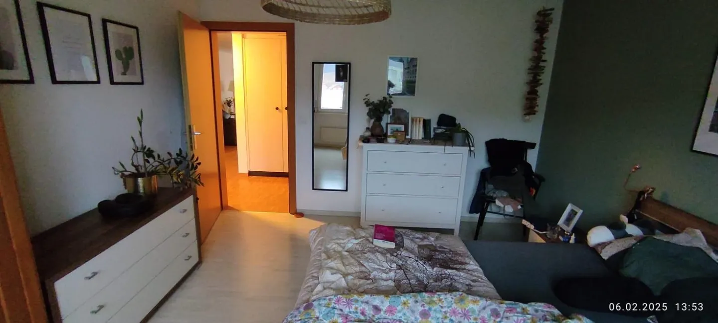 Bellissimo appartamento 4.5 stanze recentemente ristrutturato - Foto 7 di 18