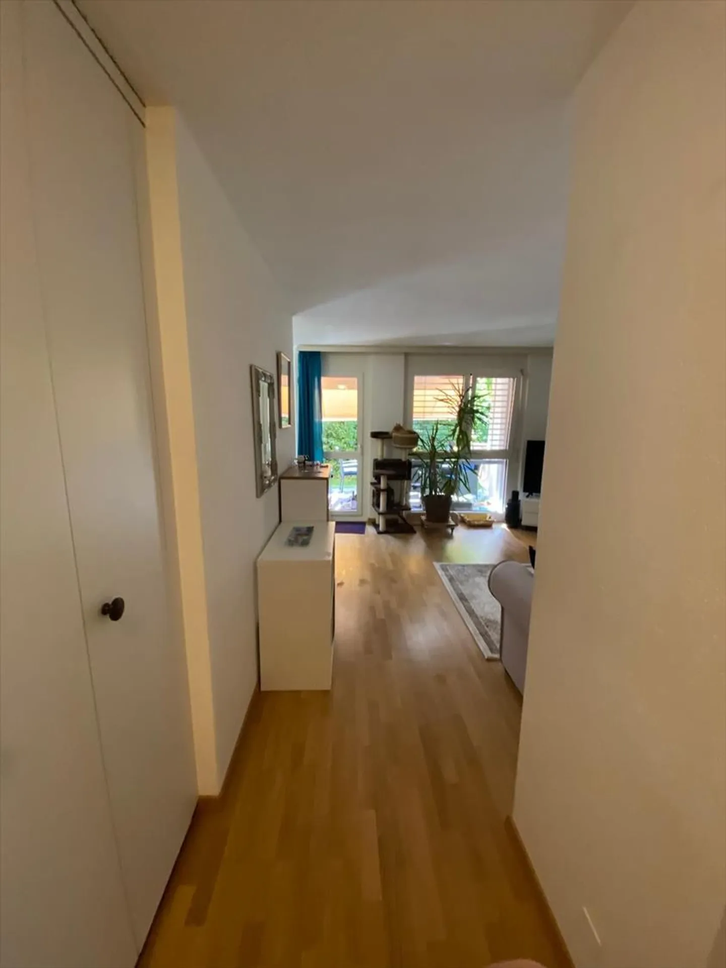 Appartamento 2.5 locali - Foto 3 di 7