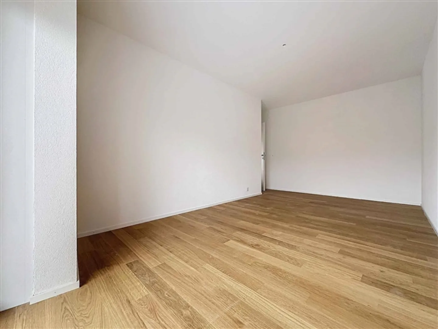 Attico 5.5 stanze con terrazza sul tetto - Foto 7 di 13